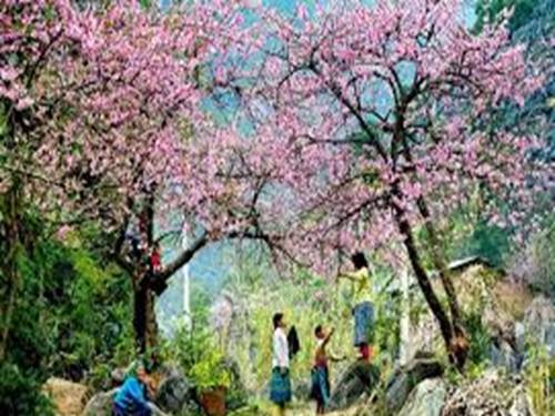 Luyện tập Trang 81