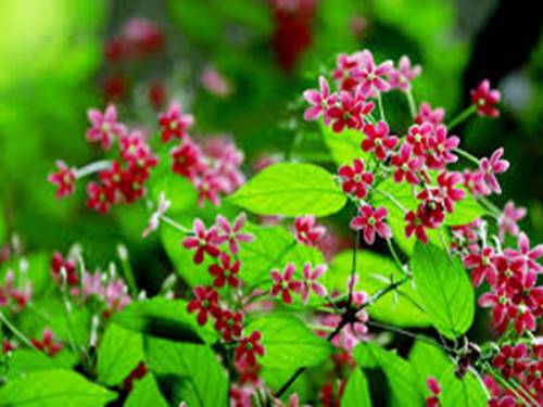 Xem đồng hồ (tiếp theo)