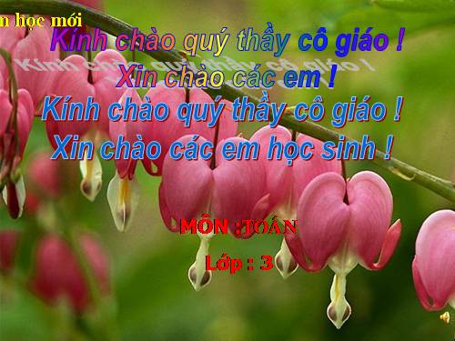 Bảng chia 7
