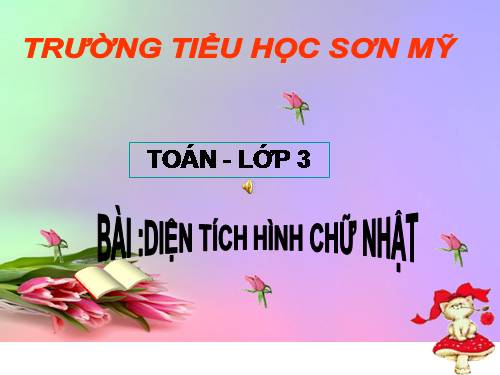 Diện tích hình chữ nhật.