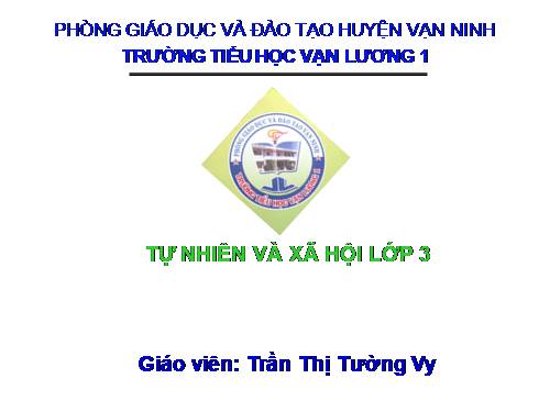 Ôn tập sức khỏe
