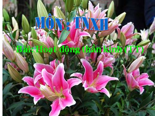 HOẠT ĐỘNG NGLL