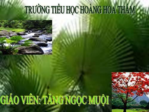 Bài toán giải bằng hai phép tính