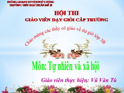 Bài toán giải bằng hai phép tính