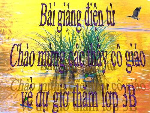 Tìm số chia