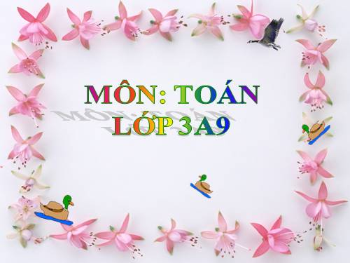 Tìm số chia