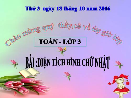 Diện tích hình chữ nhật.