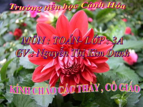 toan lop 3
