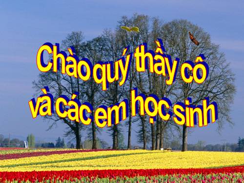 Chu vi hình vuông