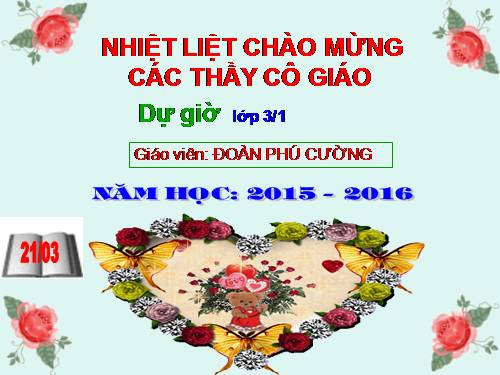 Diện tích hình chữ nhật.