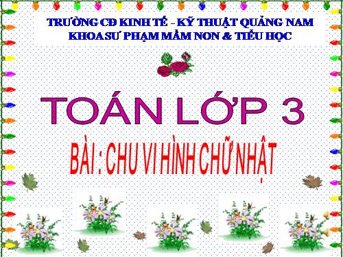 Chu vi hình chữ nhật