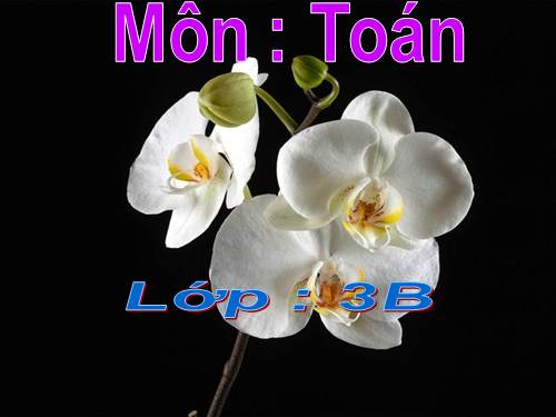 Làm quen với biểu thức