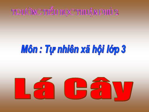 BÀI 45 :LÁ CÂY.LỚP 3