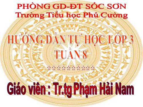 HUONG DAN HOC LOP 3 TUAN 8