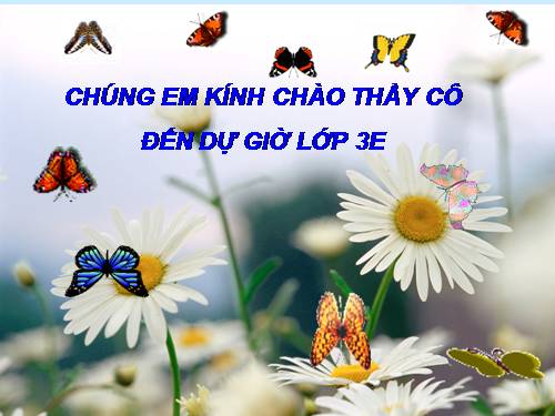 Bảng nhân 8