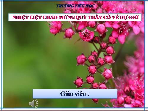 Các Bài giảng khác thuộc Chương trình Toán 3