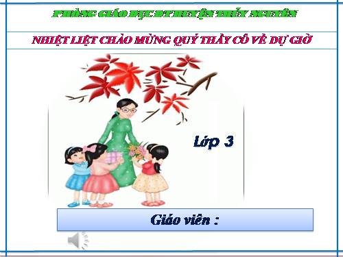 Diện tích hình chữ nhật.