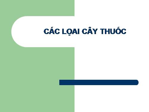cac loai cay thuôc nam