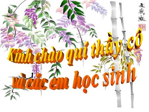 Hình chữ nhật