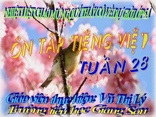 on tap tieng viet lop 5 tuan 28