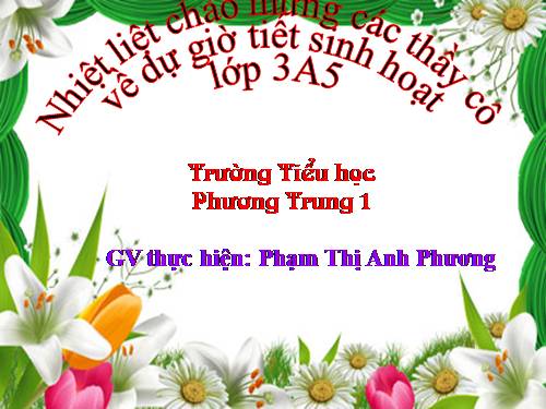 Giáo án SHL thi GVCN giỏi