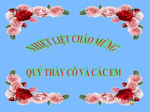 Diện tích hình chữ nhật.