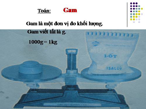 Gam
