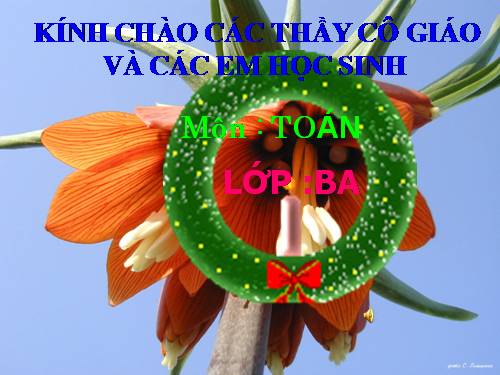 Hình chữ nhật