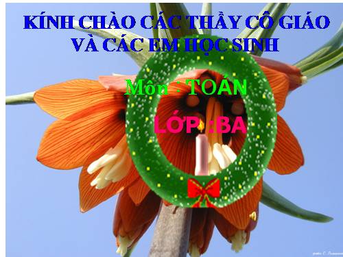 Các Bài giảng khác thuộc Chương trình Toán 3