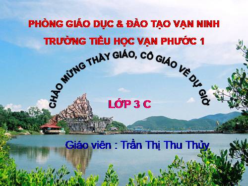 Diện tích hình chữ nhật.