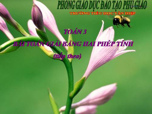 Bài toán giải bằng hai phép tính (tiếp theo)