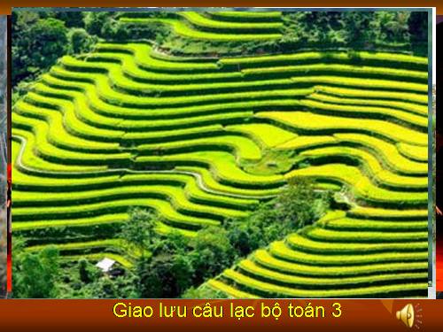 toán câu lạc bộ