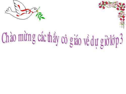 Làm quen với biểu thức