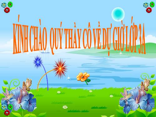 Phép chia hết và phép chia có dư