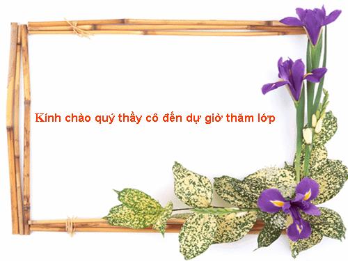 Hình chữ nhật
