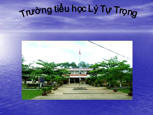 TRƯỜNG TIỂU HỌC LÝ TỰ TRỌNG