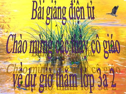 Tìm số chia