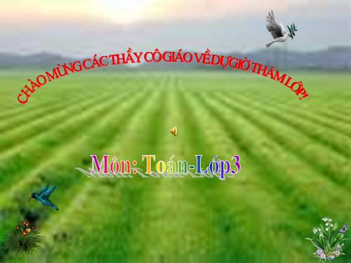 Bài toán liên quan đến rút về đơn vị