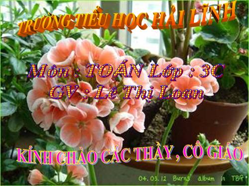 Bài toán liên quan đến rút về đơn vị