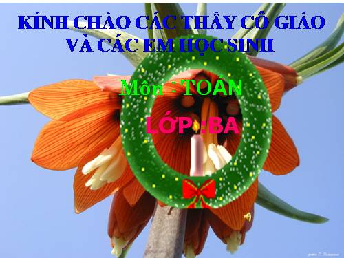 Các Bài giảng khác thuộc Chương trình Toán 3