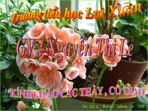 Bài toán liên quan đến rút về đơn vị