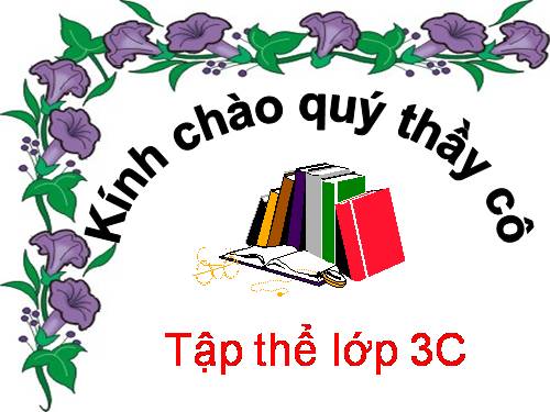 Ôn tập các bảng chia