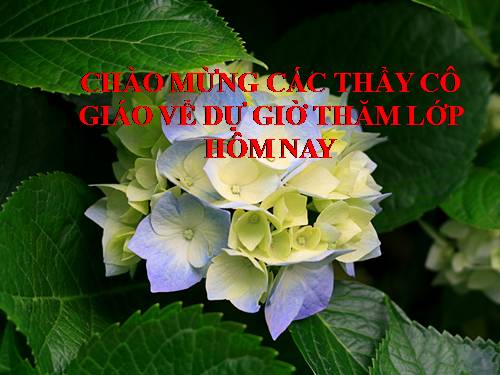 Nhân số có ba chữ số với số có một chữ số