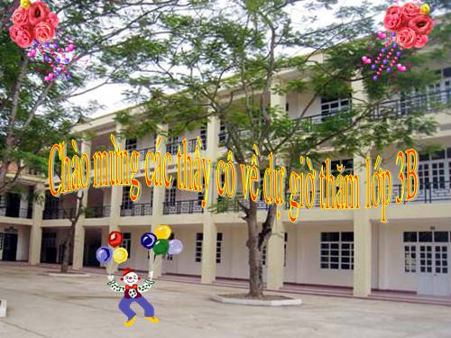 Bài toán giải bằng hai phép tính