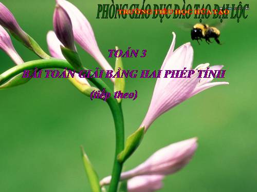 Bài toán giải bằng hai phép tính (tiếp theo)