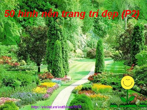 50 hinh nen trang tri dep
