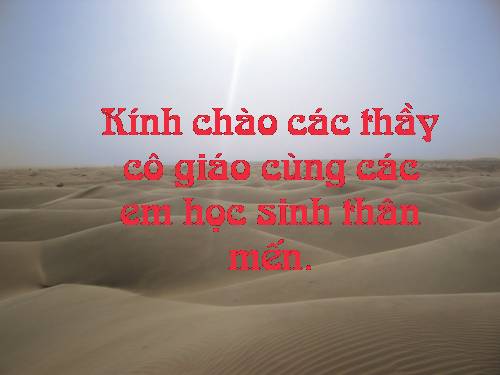 Chu vi hình chữ nhật