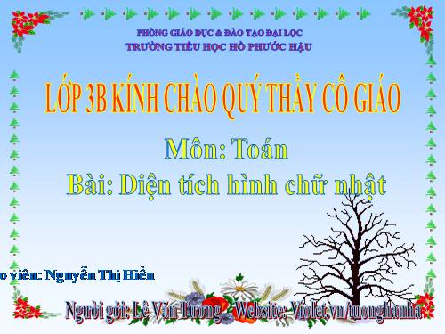 Diện tích hình chữ nhật.
