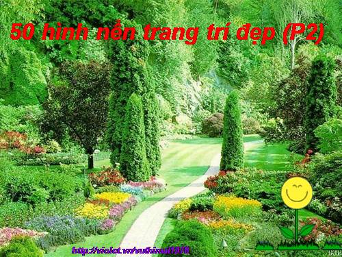 50 hinh nen trang tri dep P2