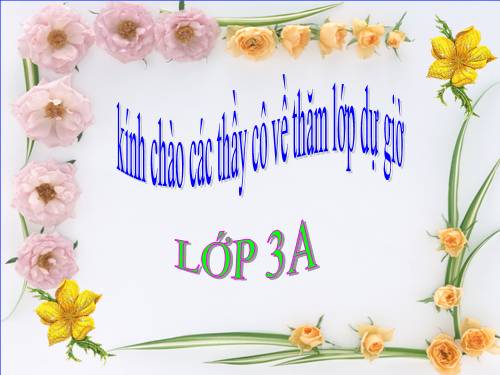 Bài toán giải bằng hai phép tính